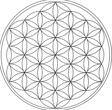 Sacred Geometry of the Body: Alexander Workshops with Master teacher Robyn Avalon