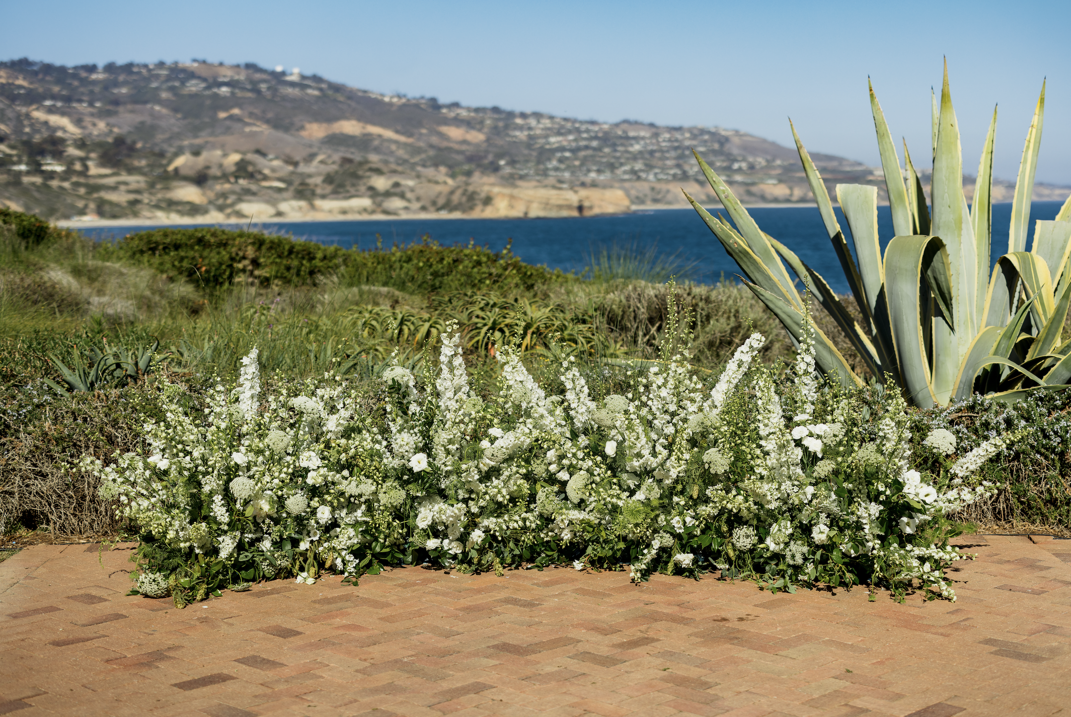 TERRANEA RESORT 