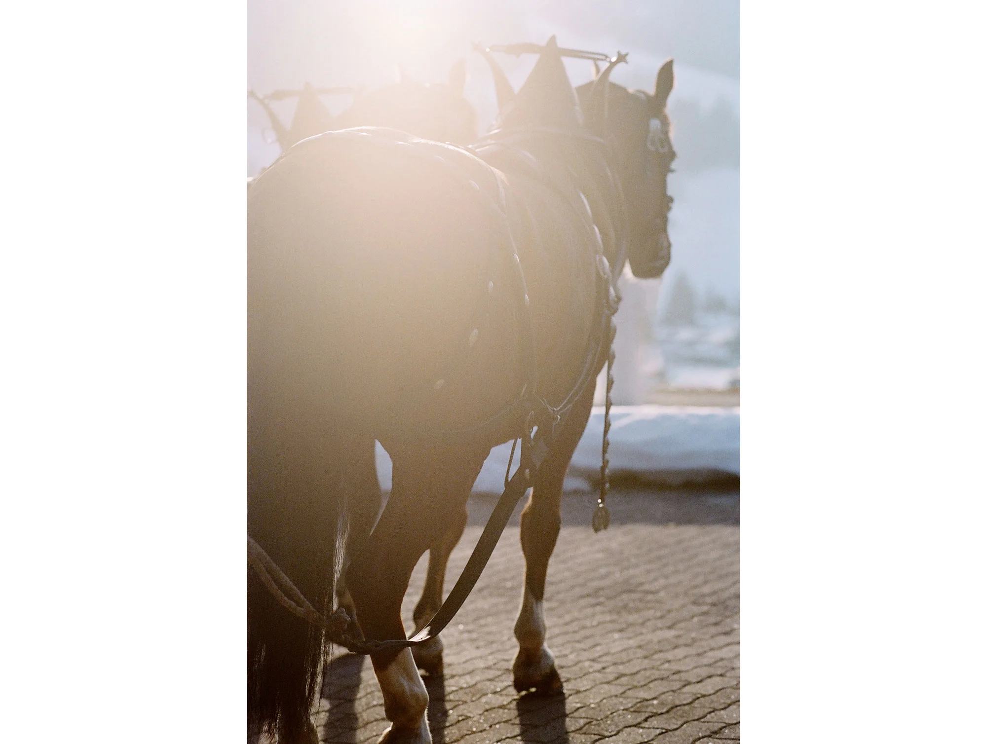 karin_tom_Gstaad_wedding-62.jpg