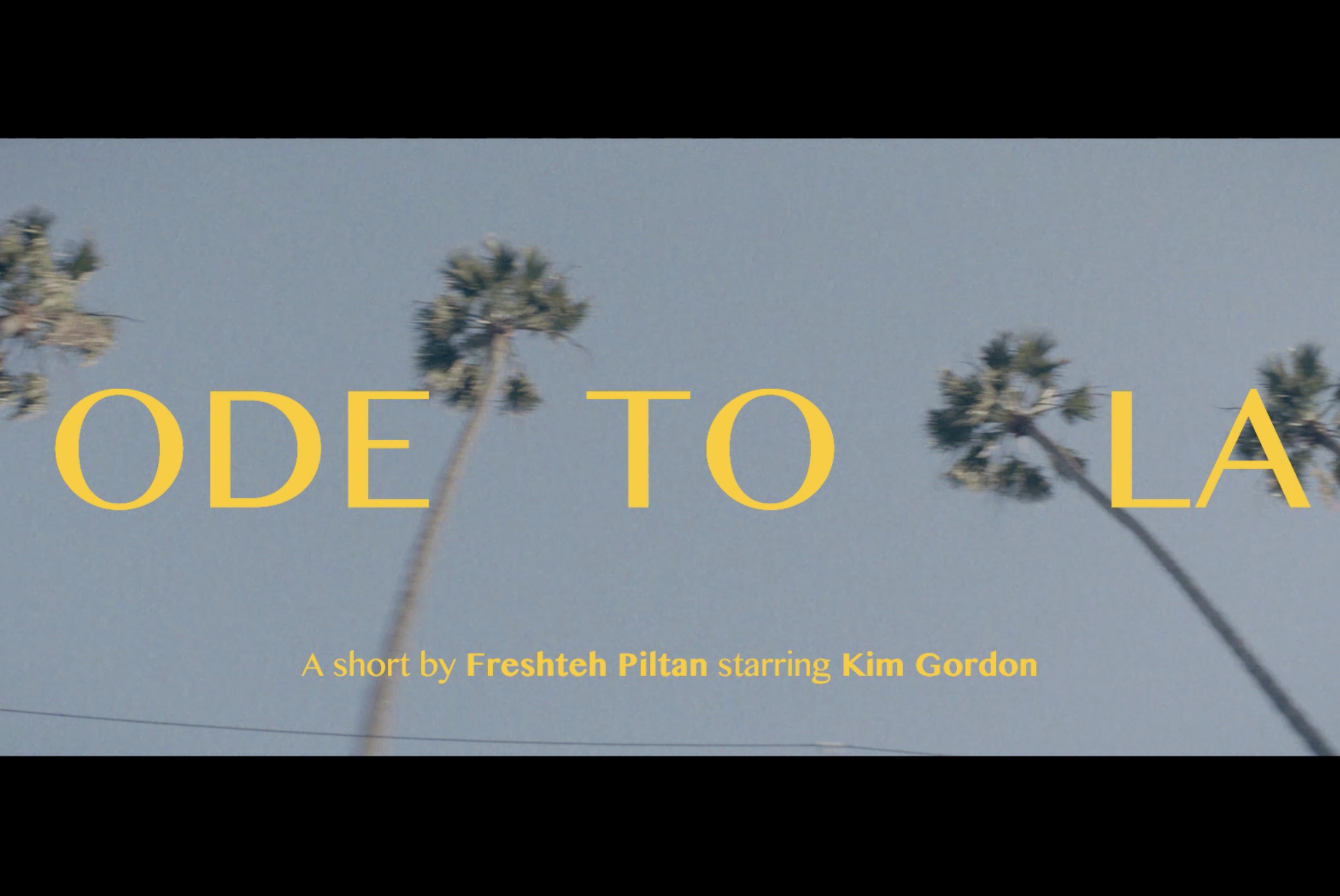 Kim Gordon & Other Stories