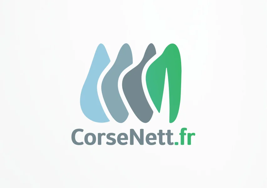 corsenett_4.jpg