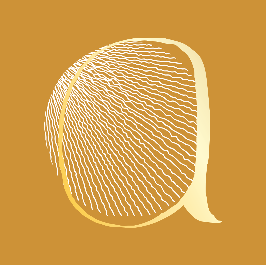 Capture d’écran 2022-02-03 à 14.45.49.png