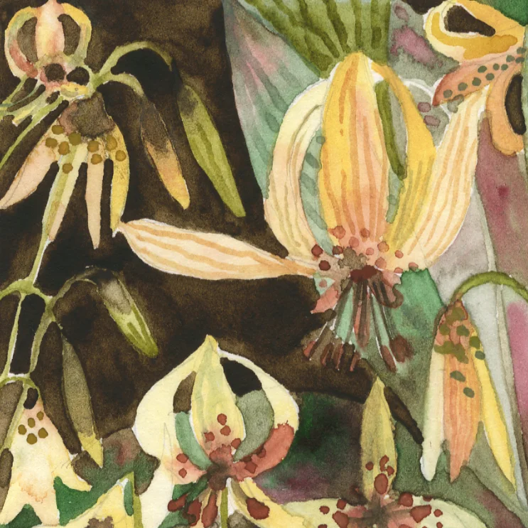 "Trout Lillies" Detail