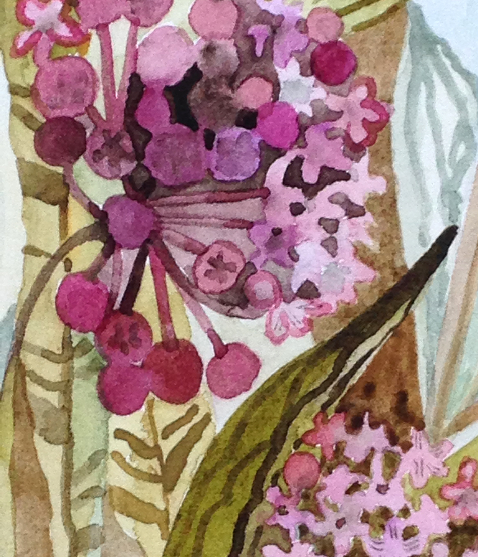 "Milkweed" Detail