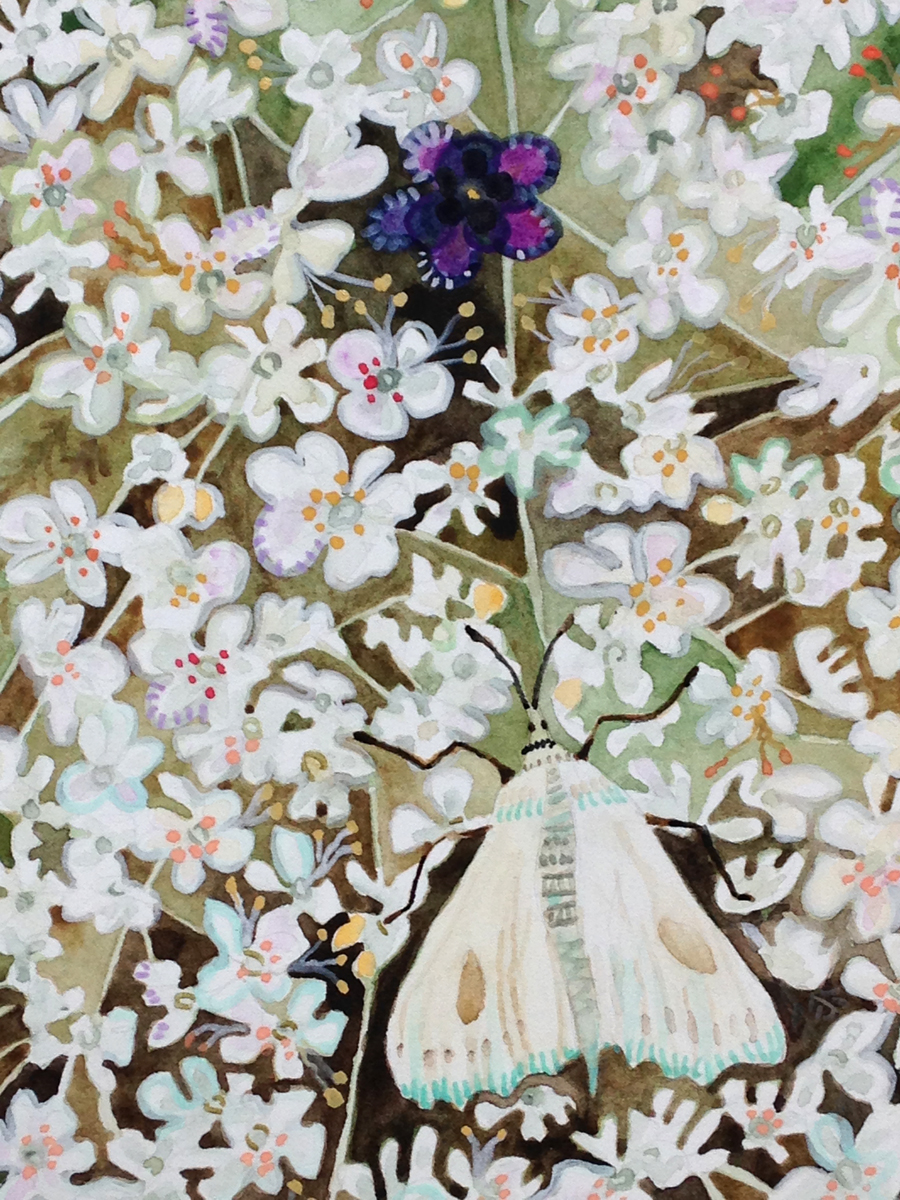 "Queen Anne's Lace" detail