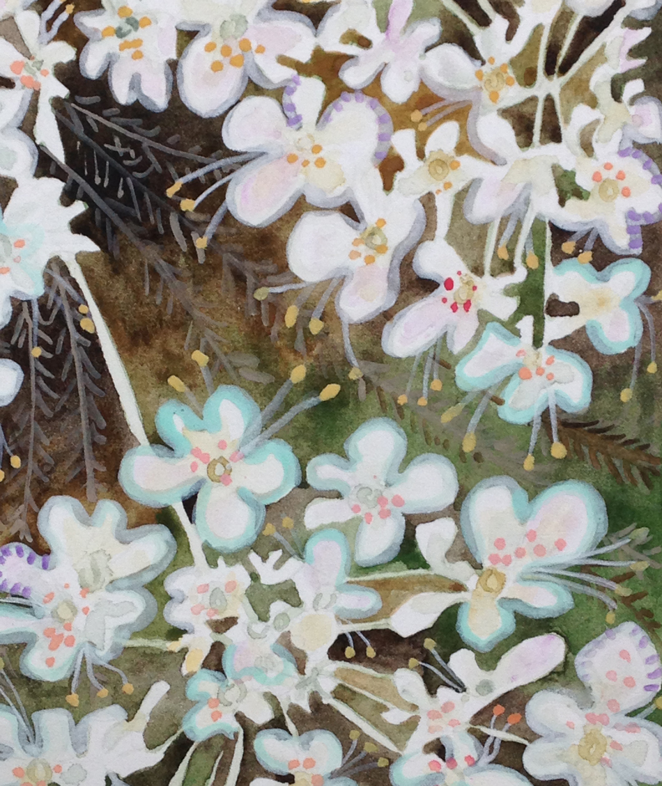 "Queen Anne's Lace" detail