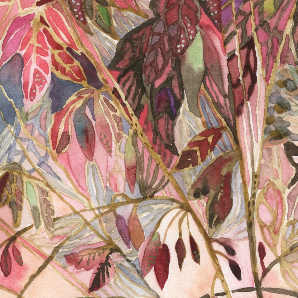 "cardinals" detail