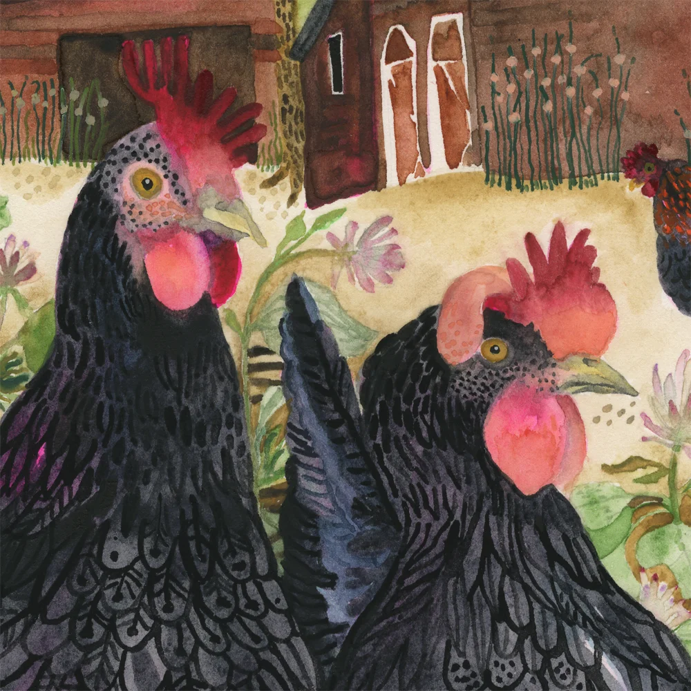 "Hens" detail