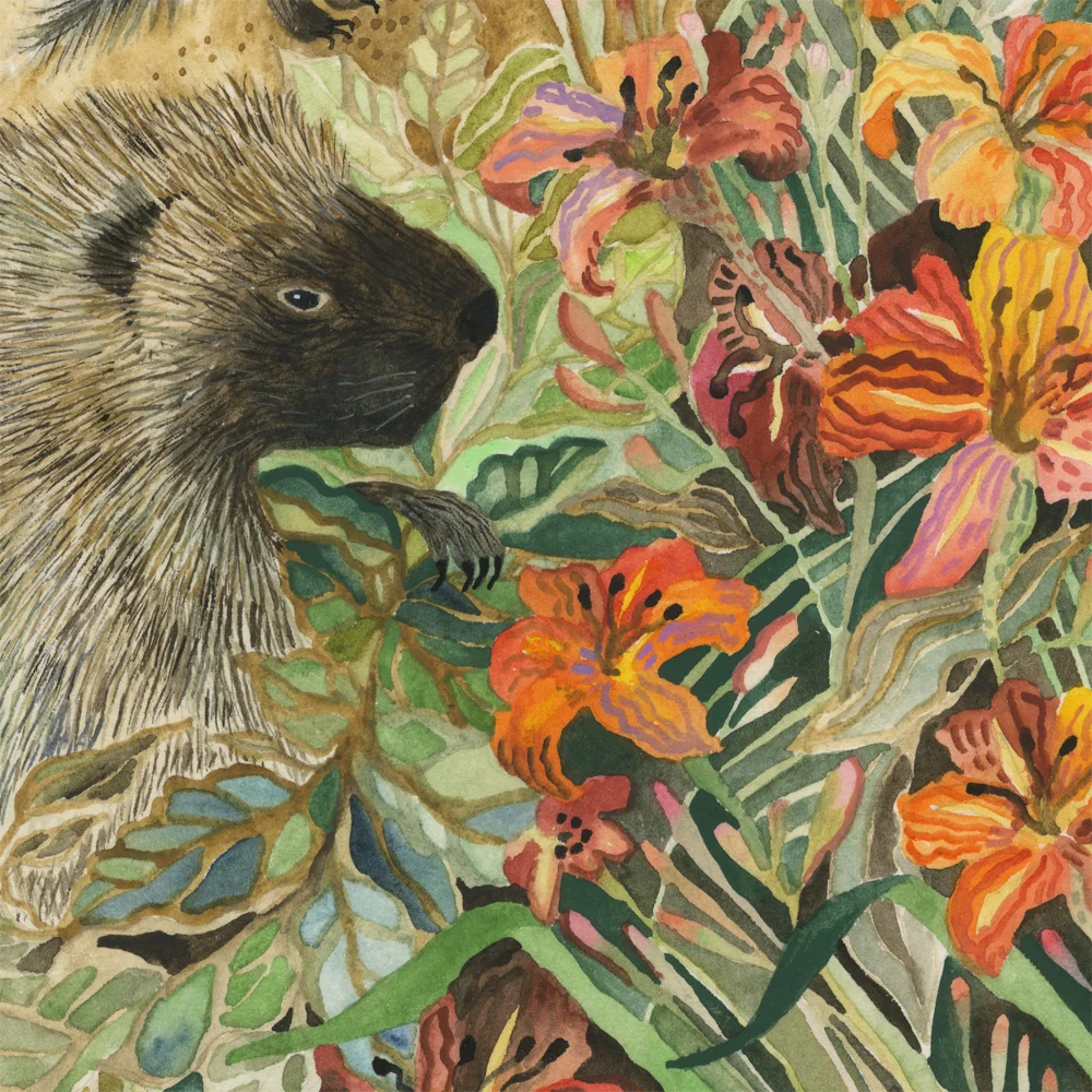 "Porcupines" detail