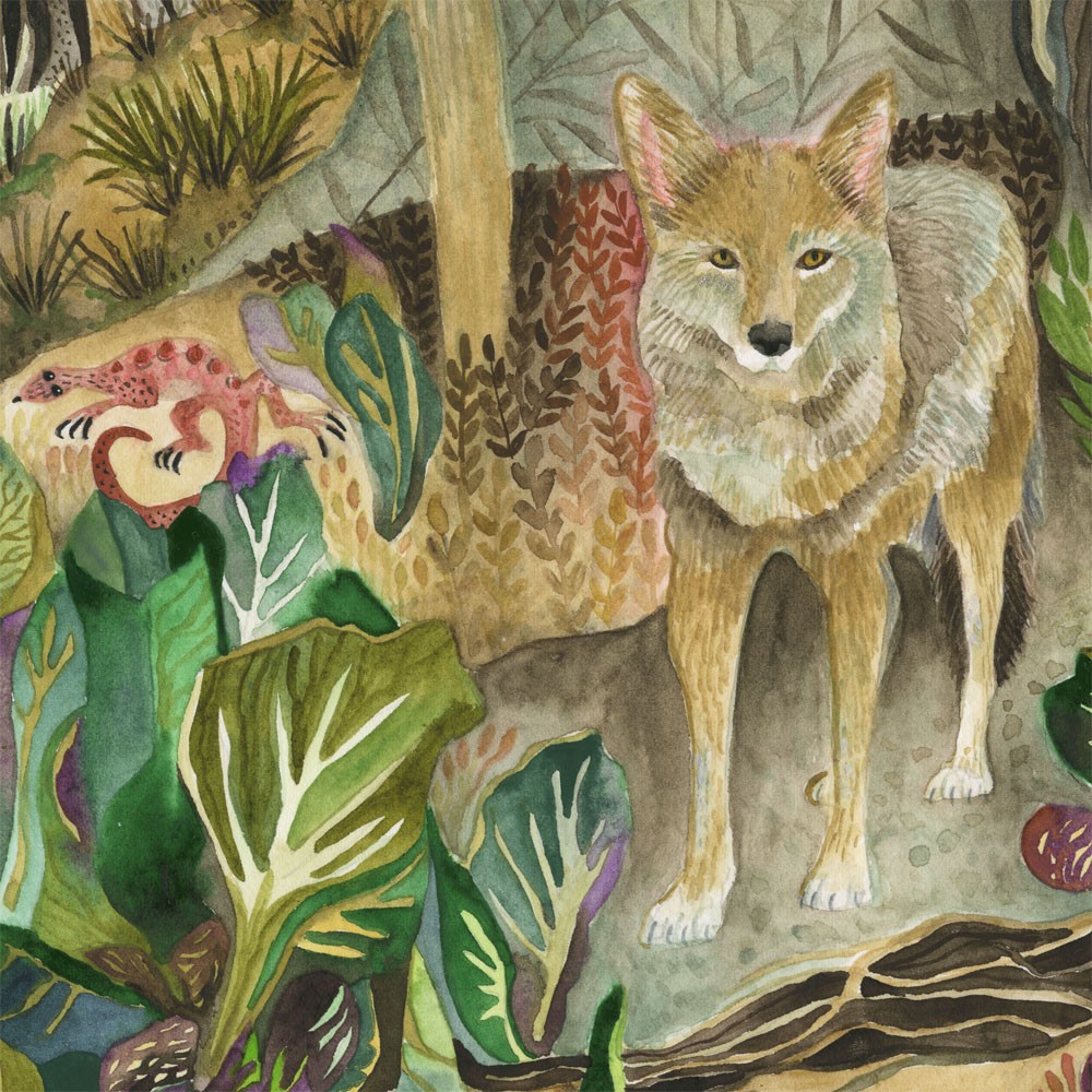 "Coyote" detail