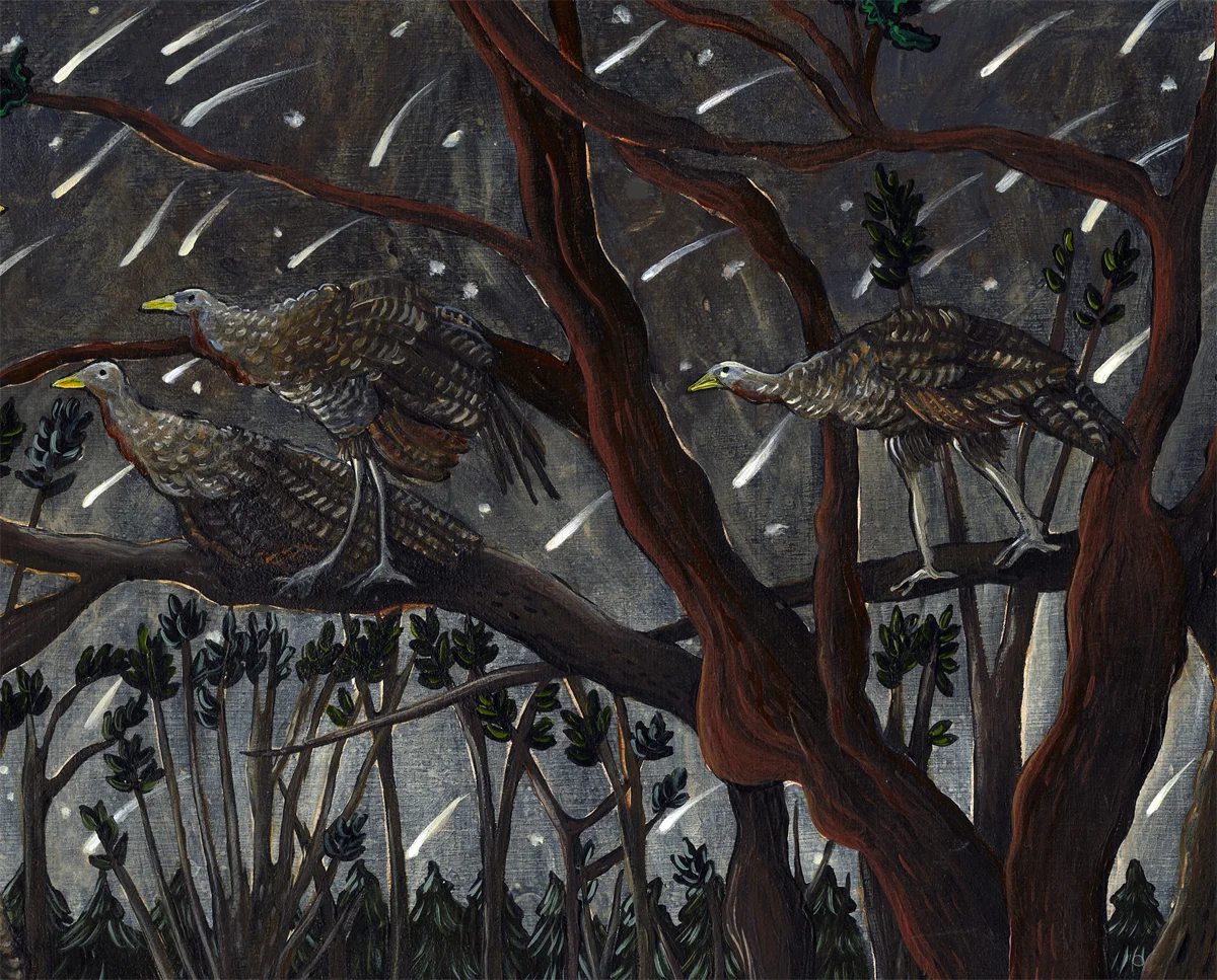 "Meteor Shower" detail