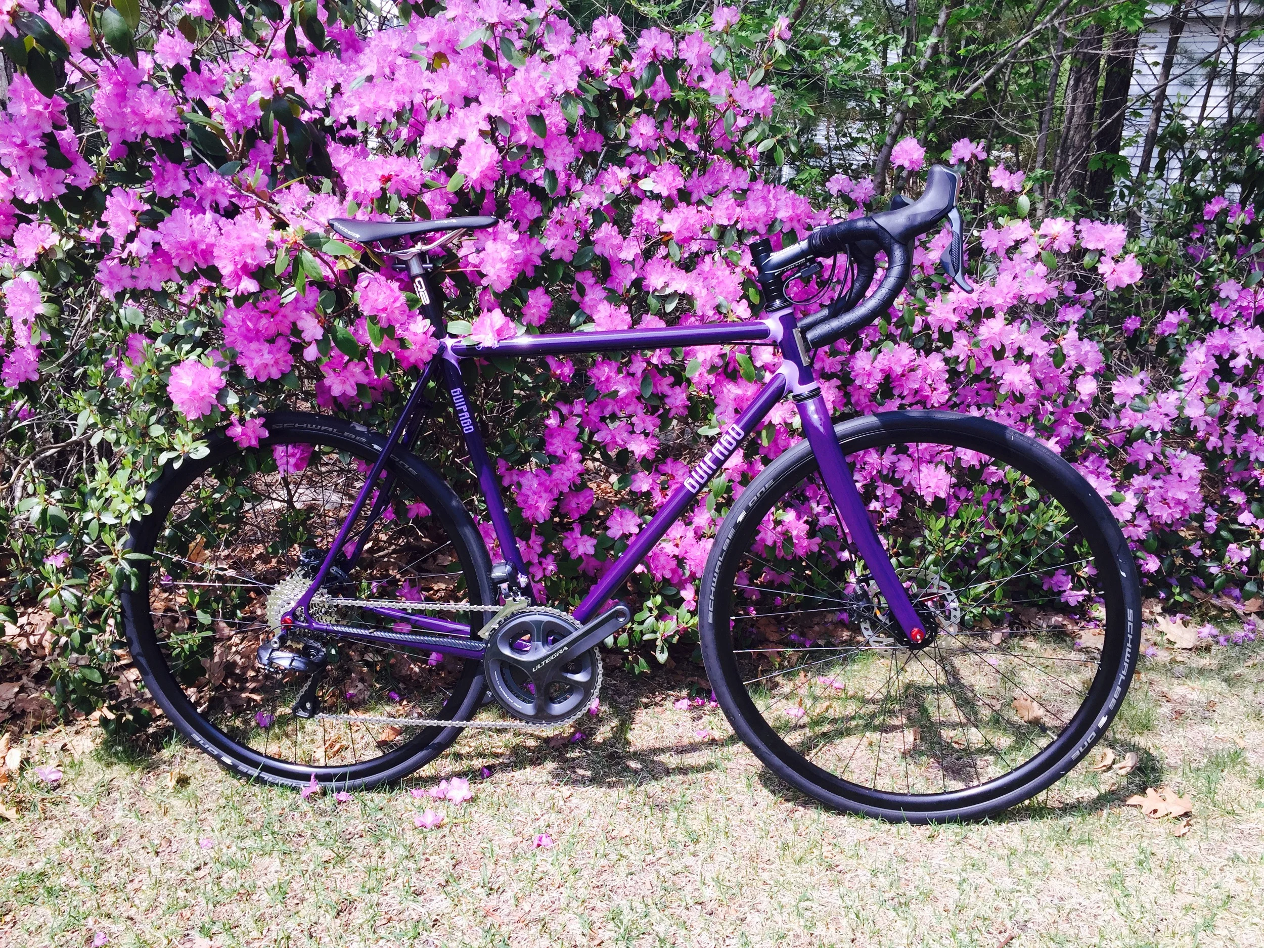 Bike 1.jpeg