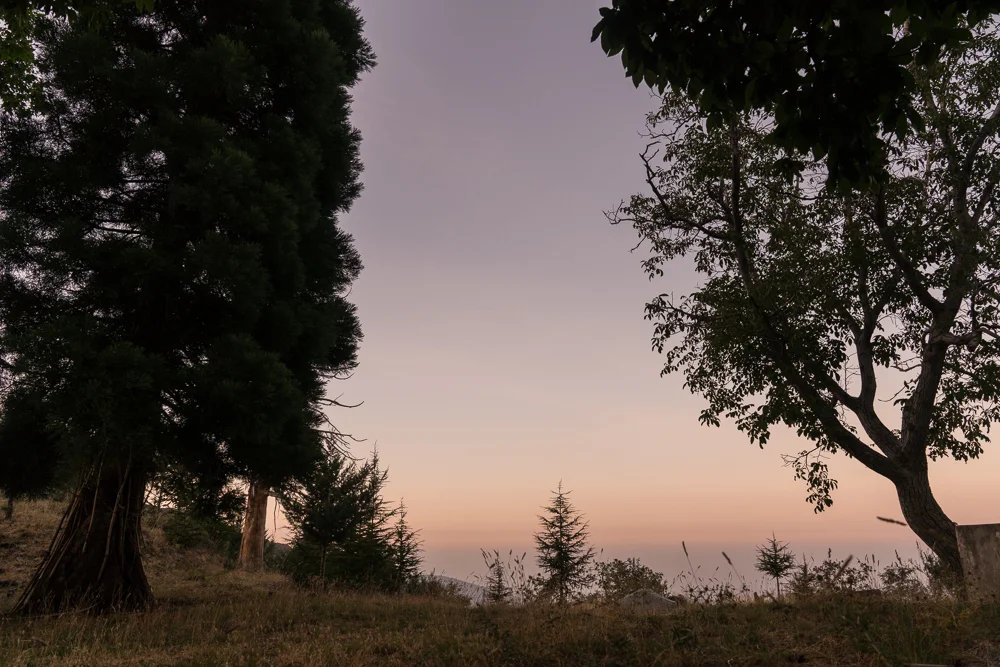 Not much of anything to anyone who wasn’t there, perhaps. Pre dawn light from my bivy bag on the final morning camped outside an old forester’s building, being slowly consumed back into nature. I love the heightened sense of life and growth after time in high places - the smell of damp earth, the noise of insect cities, the colour of flowers and the smell of herbs. We even had blackberries for breakfast.