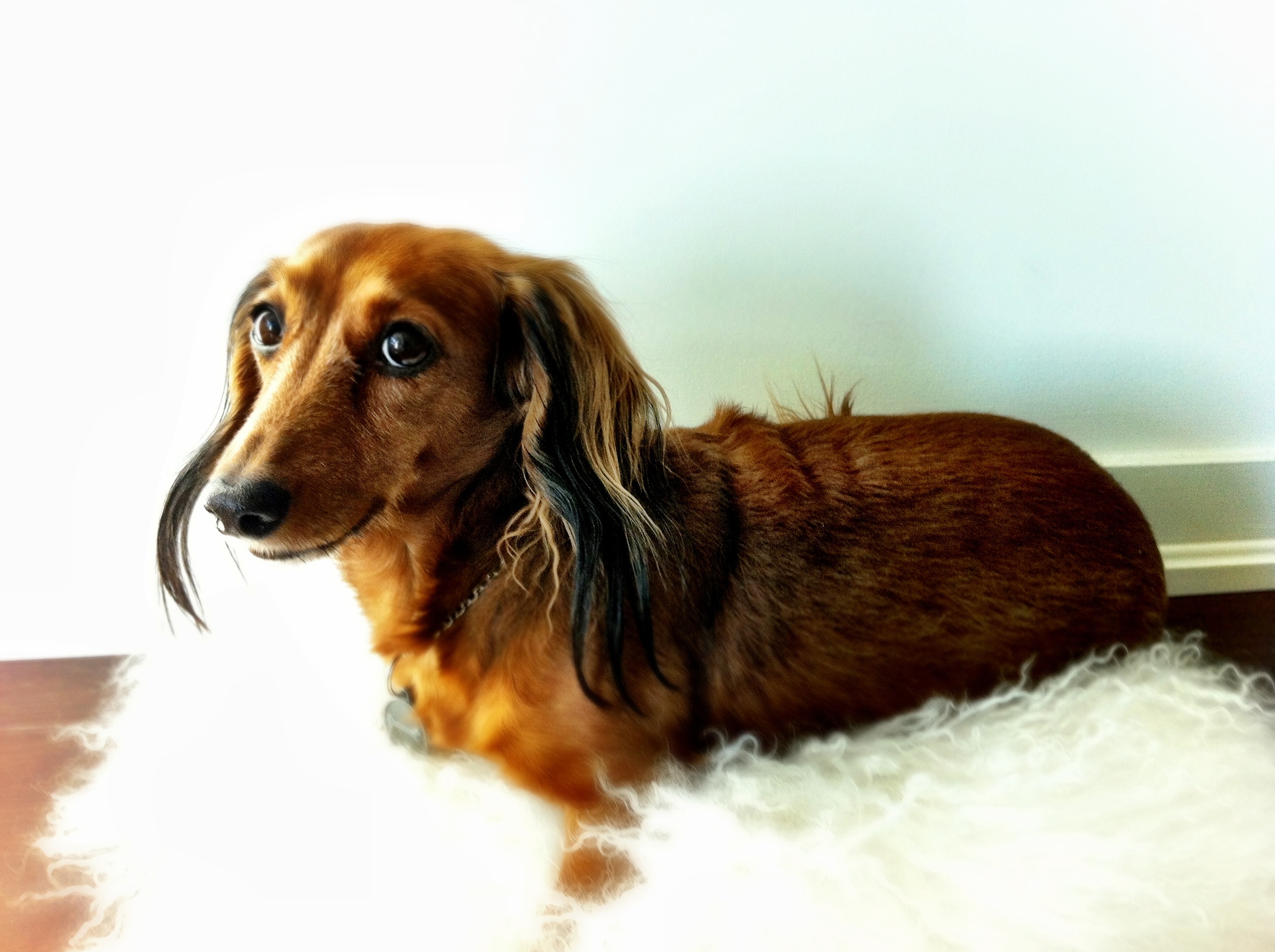 2011-12-11 13.17.42.jpg