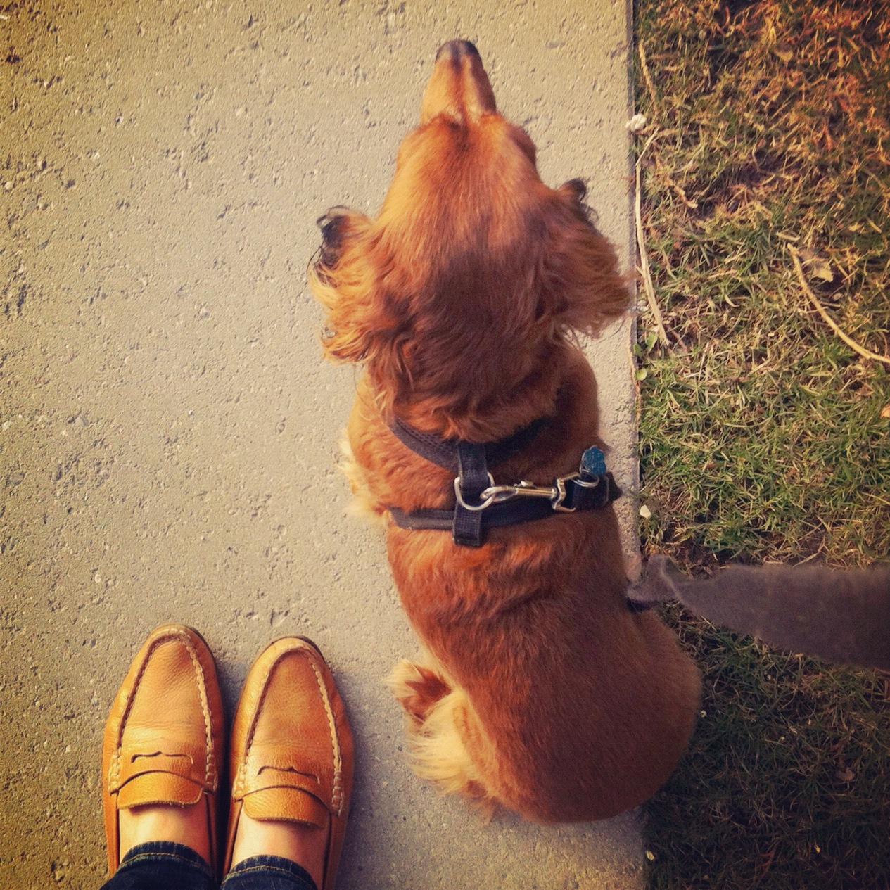 2012-03-16 08.49.15.jpg