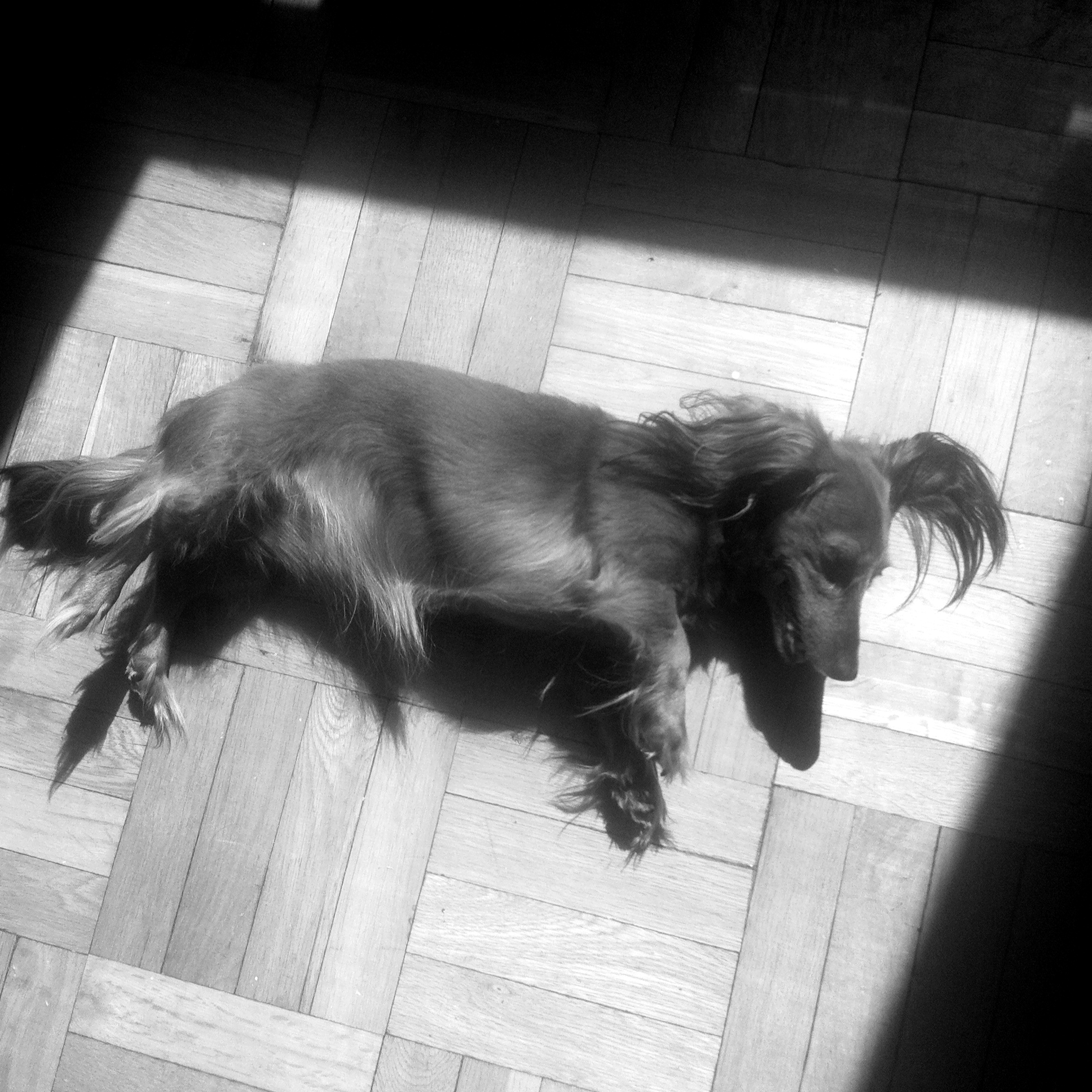 2013-03-29 13.08.15.jpg