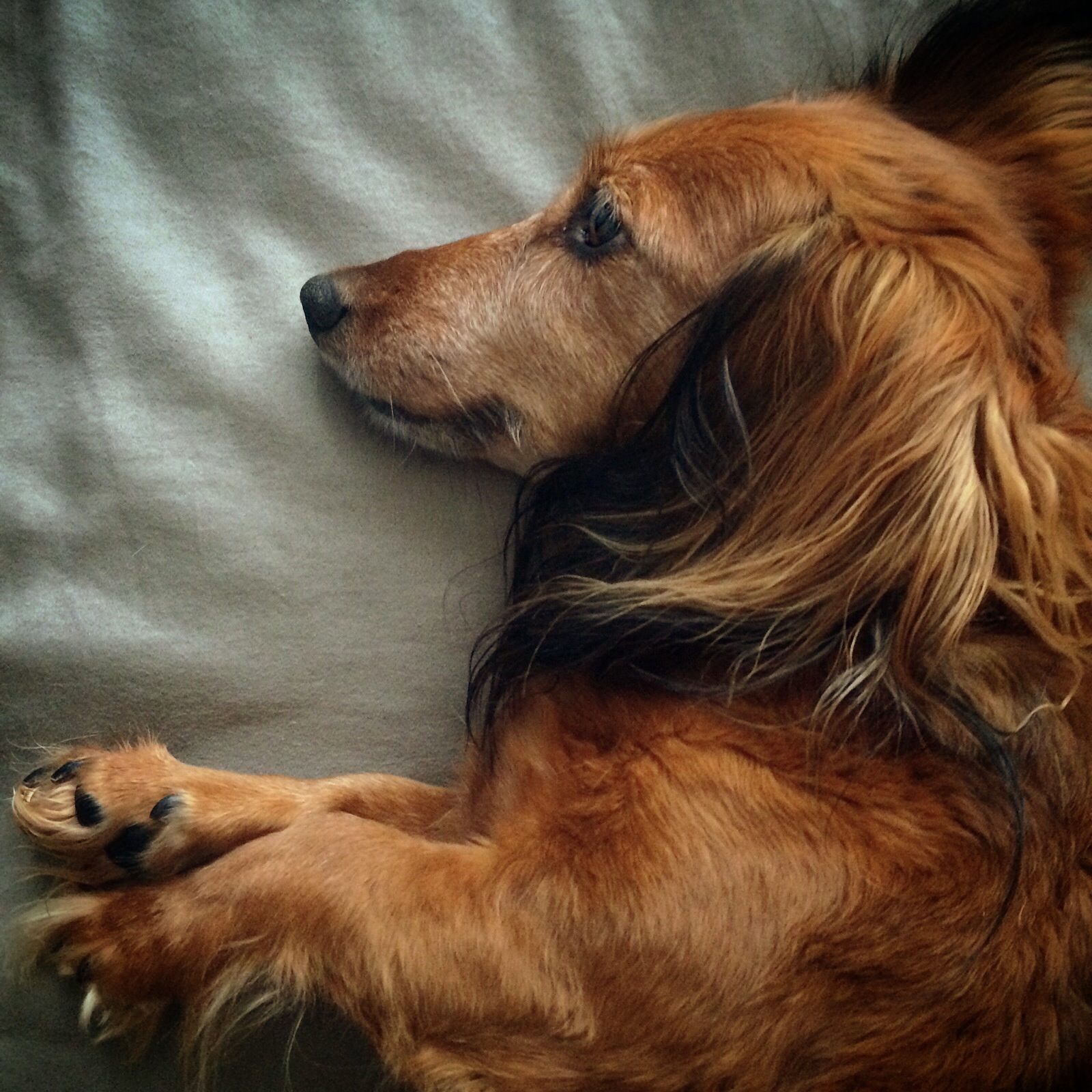 2014-07-27 09.56.45.jpg