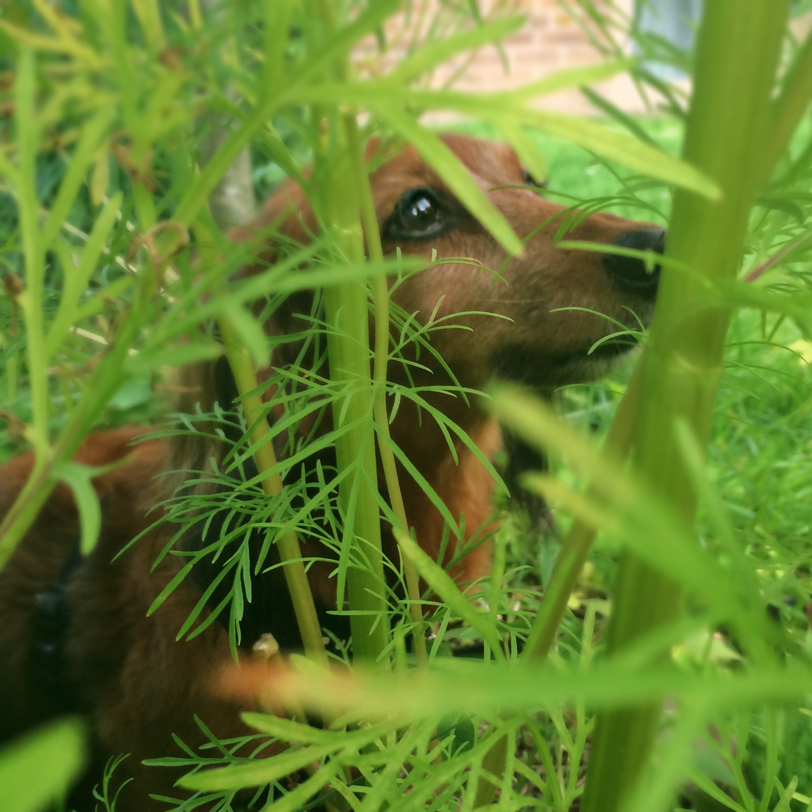 2014-08-03 19.13.21.jpg