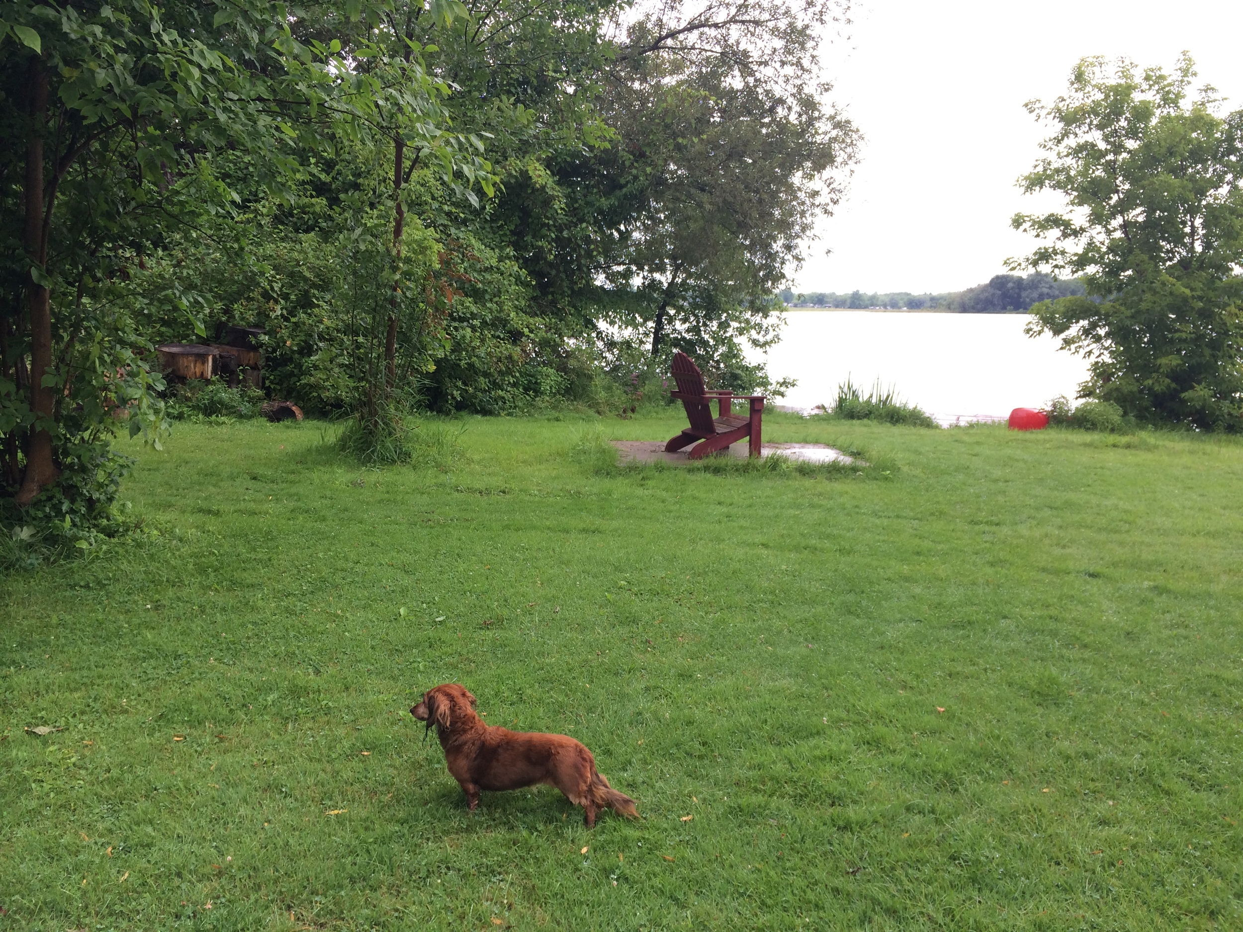 2014-08-12 10.48.32.jpg