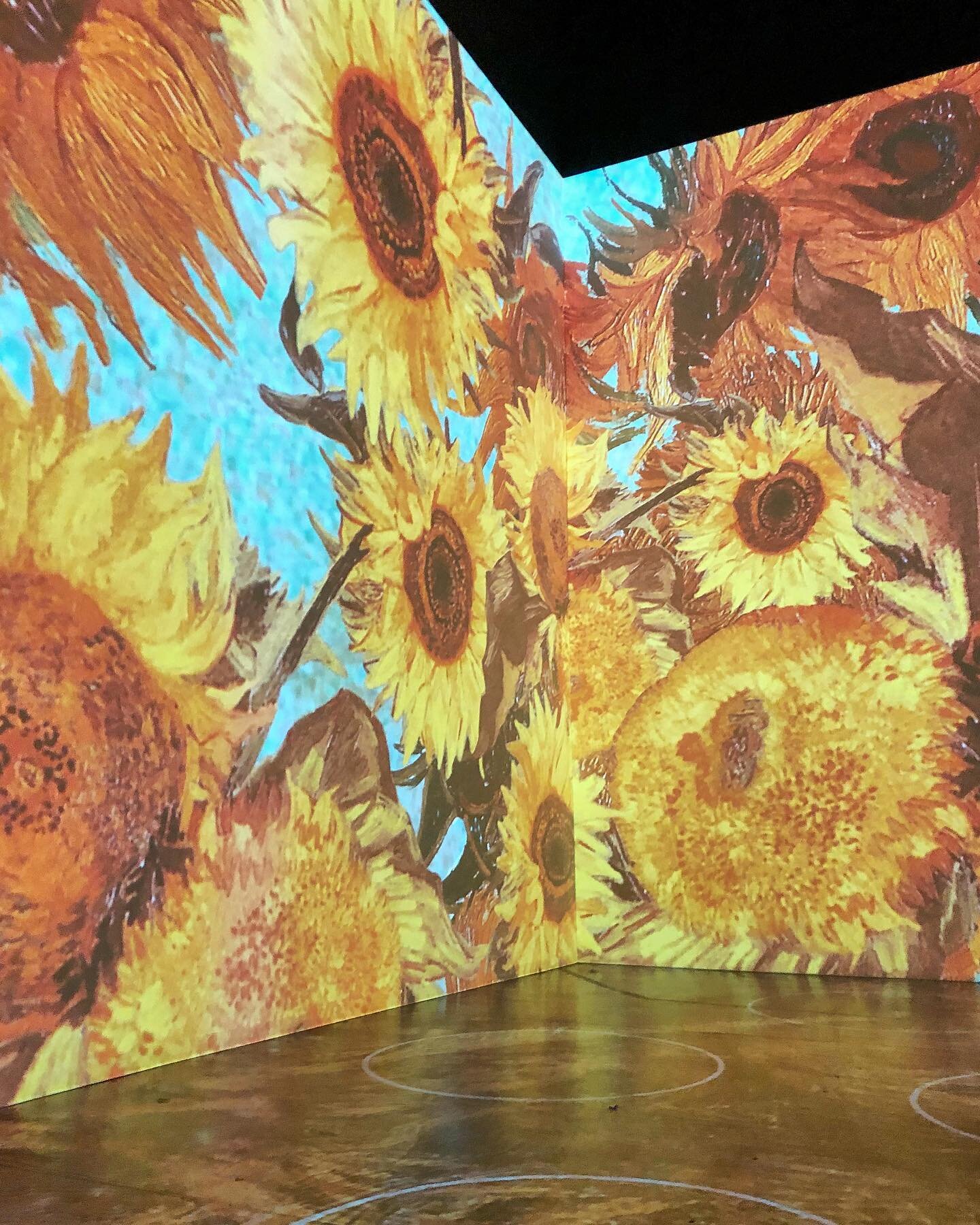 We were actually quite impressed by the @immersivevangogh exhibit today. At different points, it was meditative and quite evocative. The videos of it don&rsquo;t do it justice as this is truly an immersive experience that must be seen and felt in per