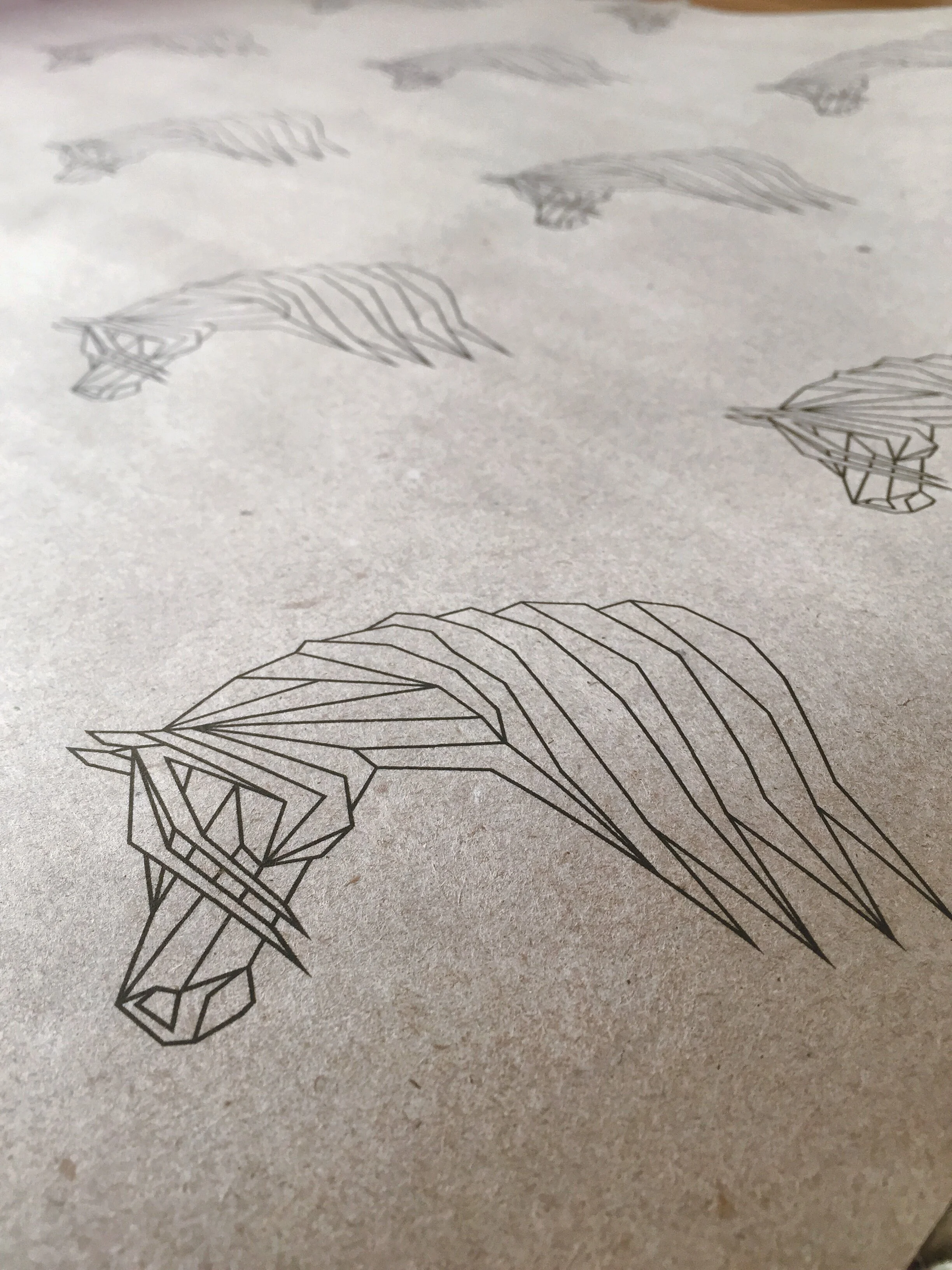 2017-08-15 18.14.12.JPG