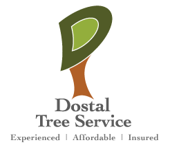 dts logo.png