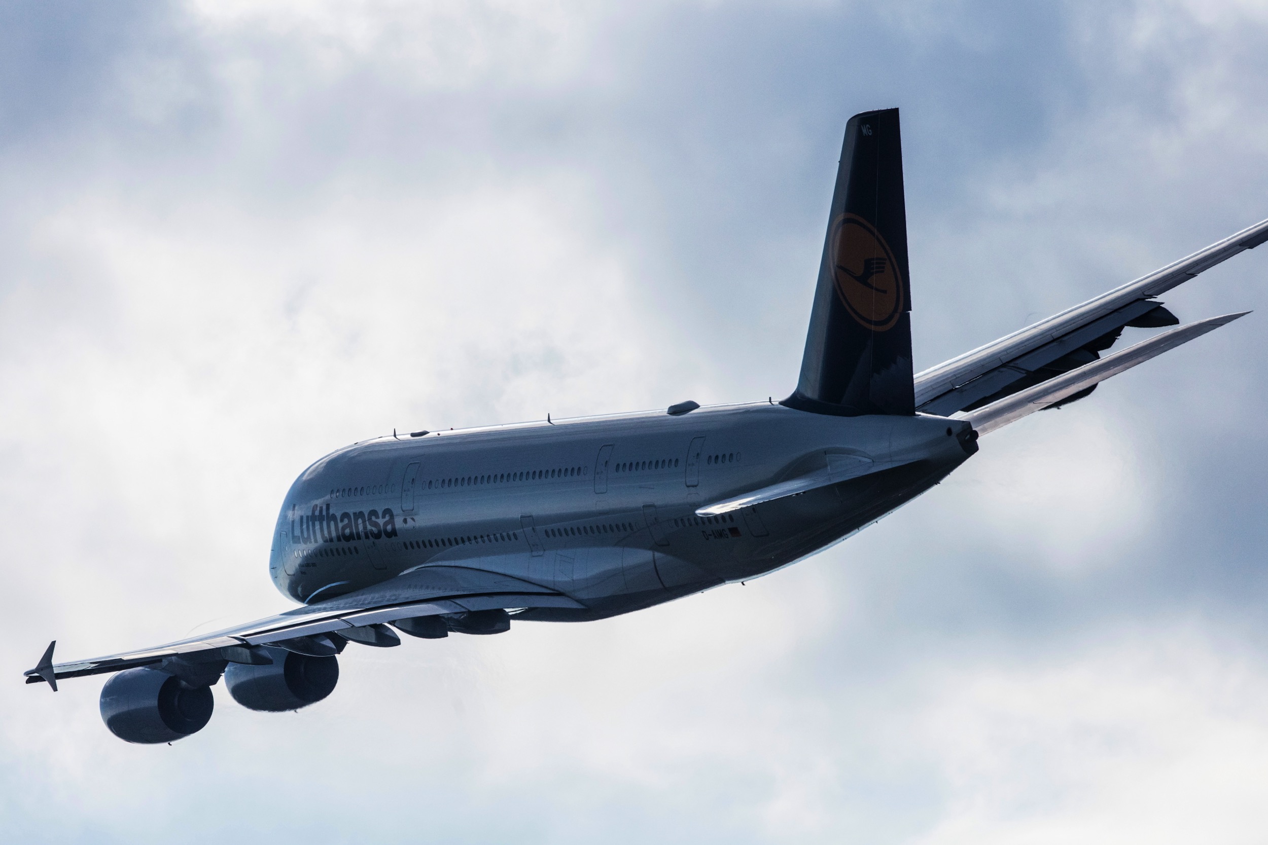 20160727_FRA_Apron-0620_2500x1667.JPG