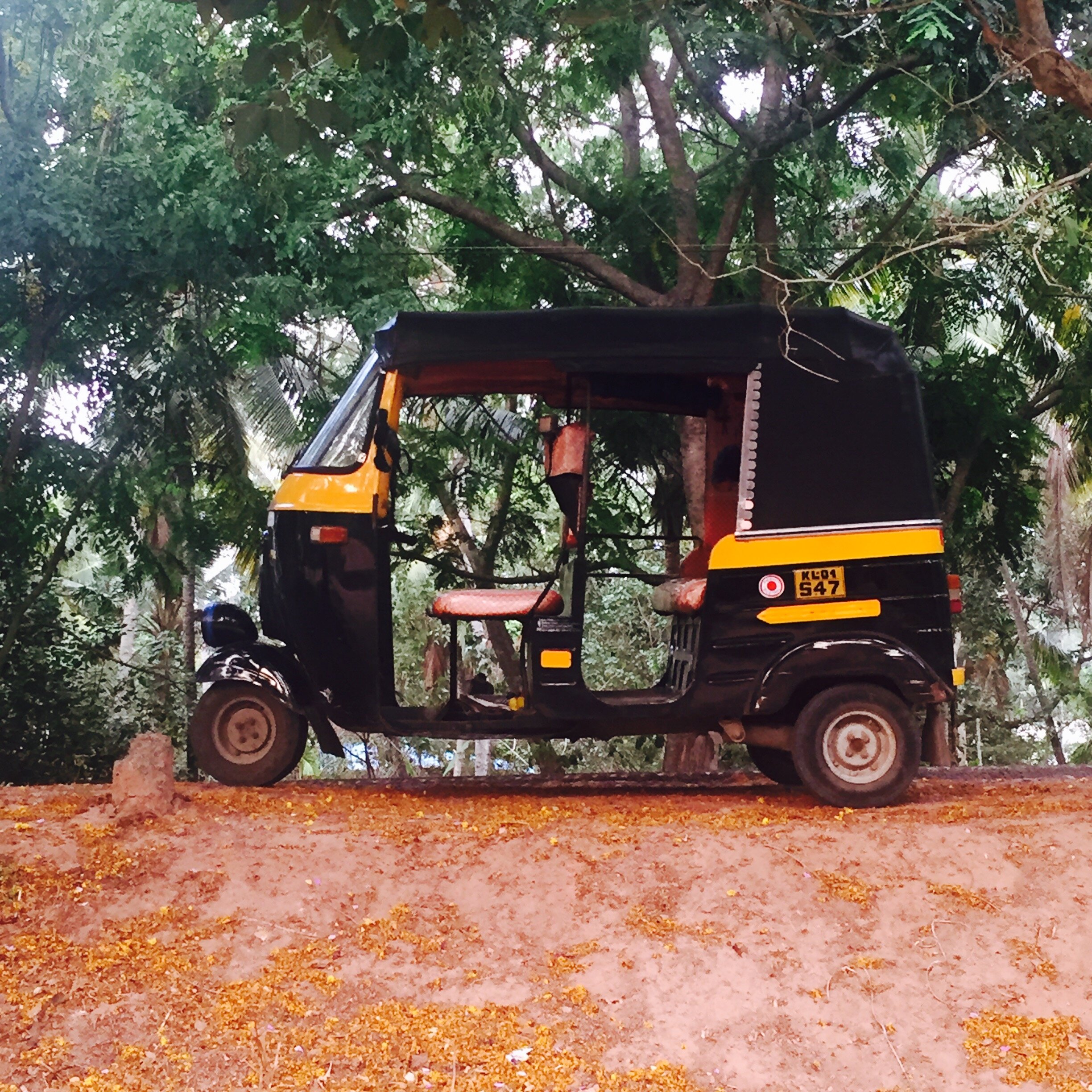 FullSizeRender (1) 2.jpeg