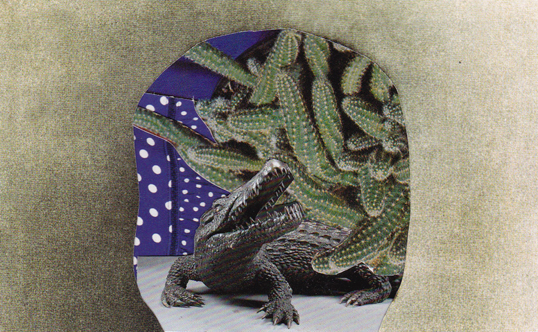 Succulent 09 /3"x4.5" /2015