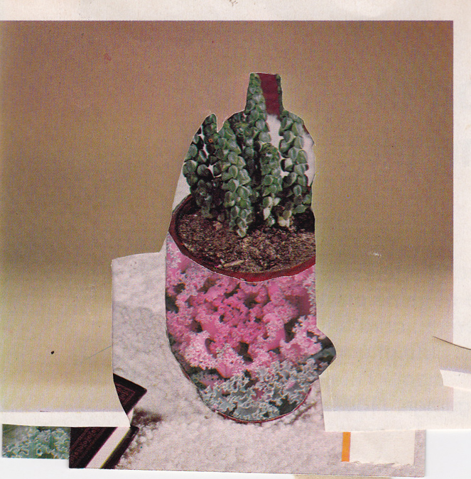 Succulent 01 / 4"x4"/ 2015