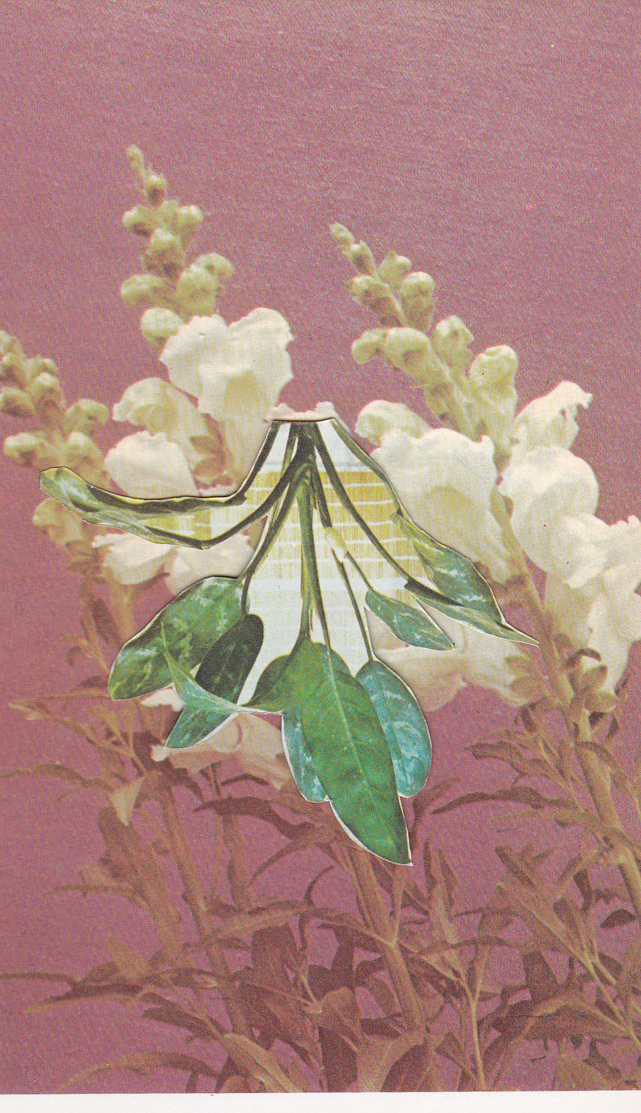Common Knowledge /6"x4"/ 2015