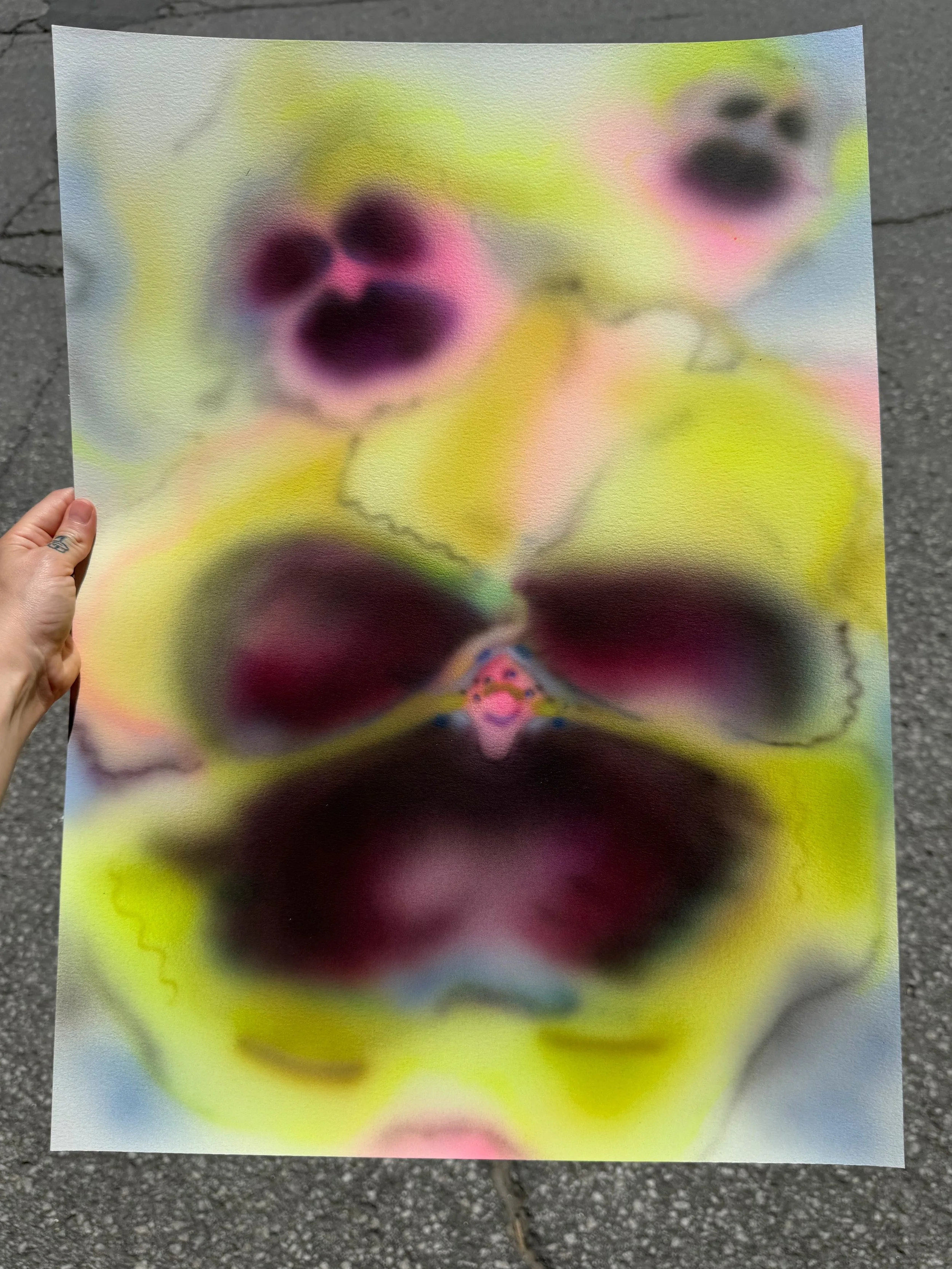 Blurred close-up of a printed photograph of a butterfly with black, pink, and green colors, being held by a hand against an asphalt surface.