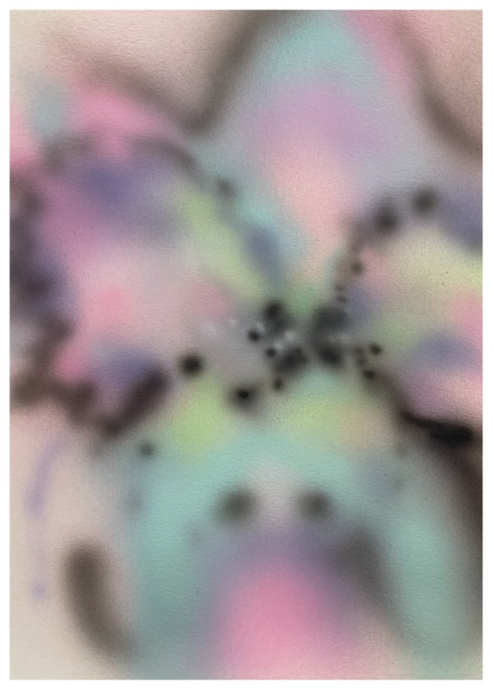 Close-up of colorful rainbow butterfly with black spots on its wings.
