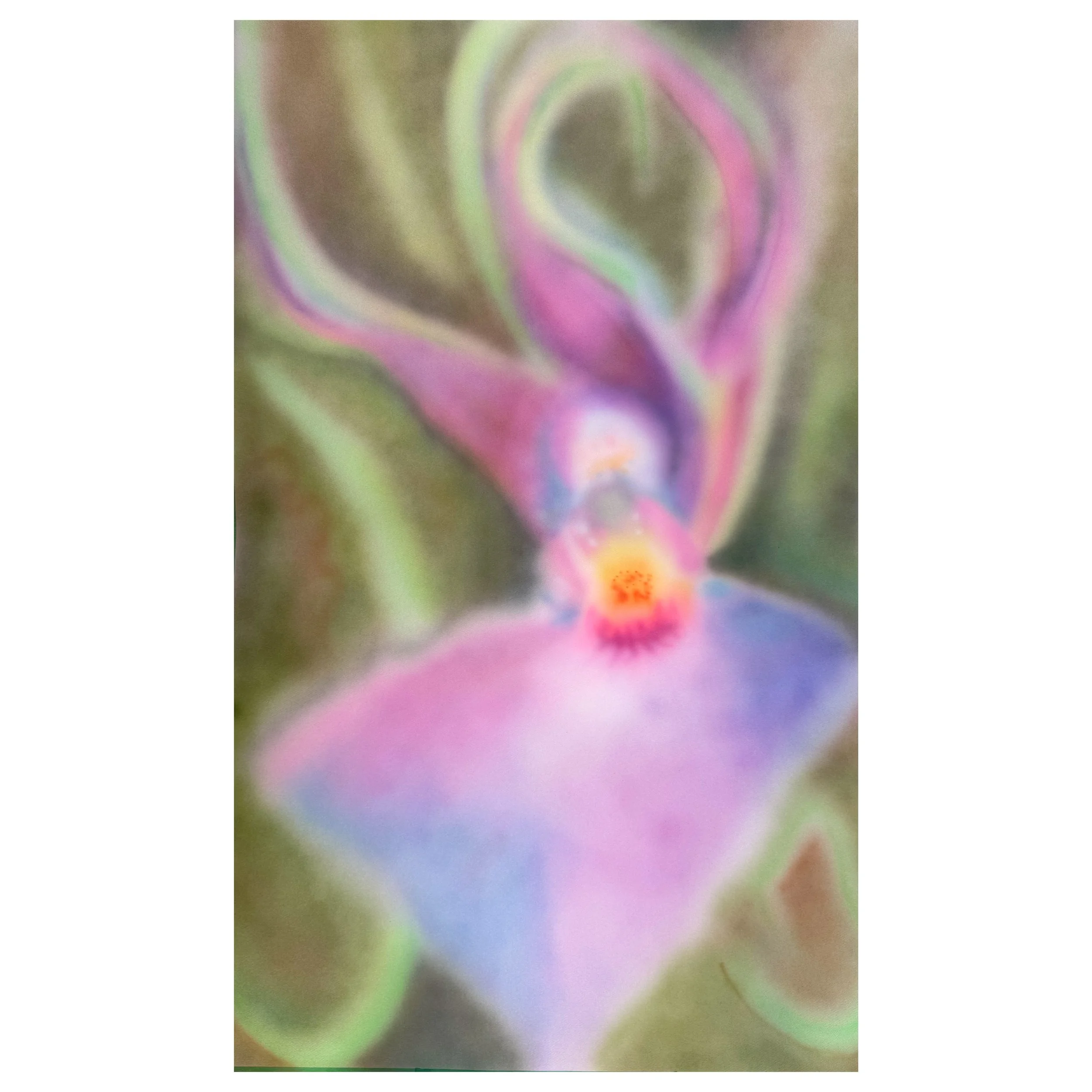 Close-up of a colorful flower with blurred pink, purple, green, and yellow petals.