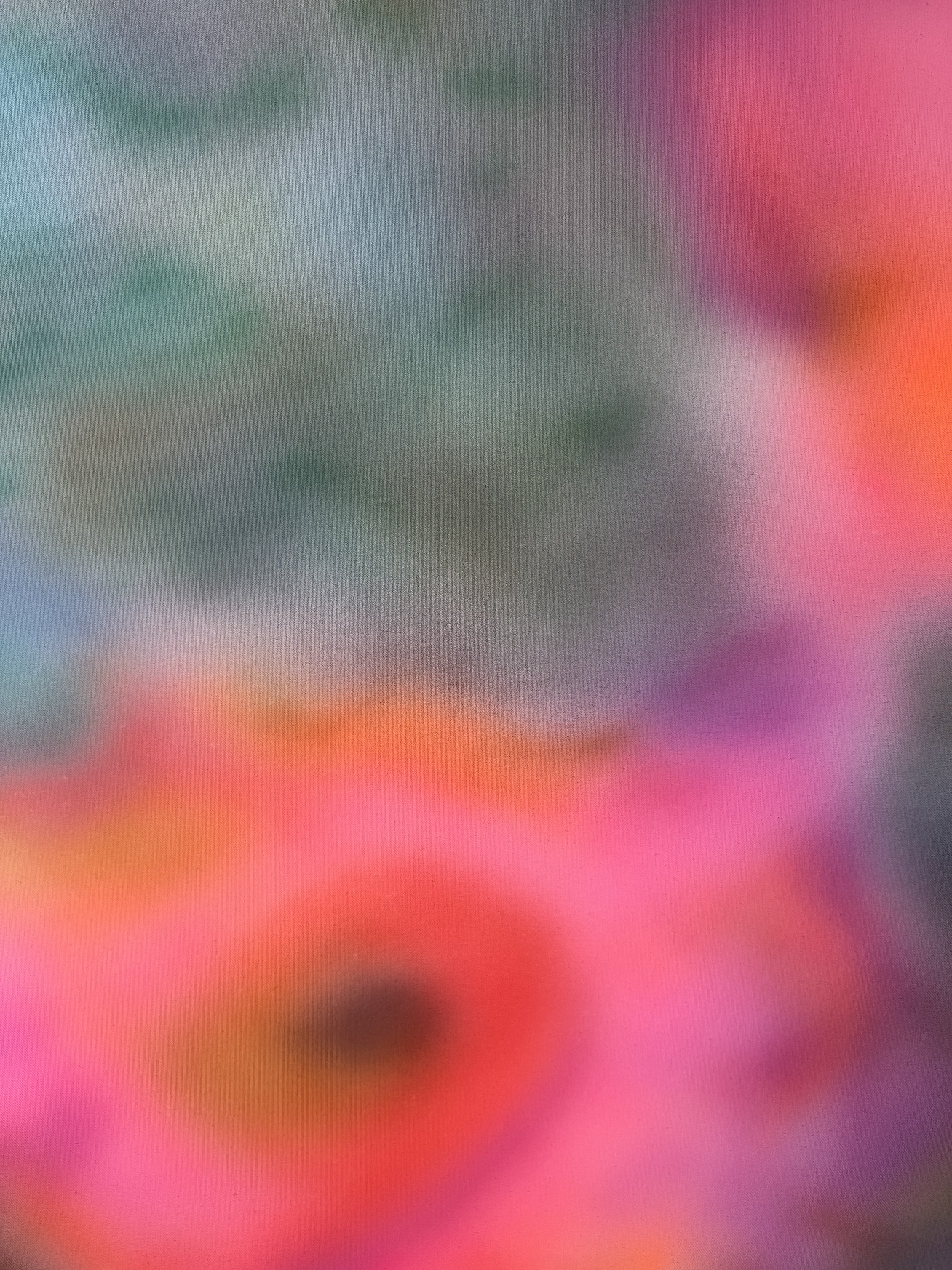 2026 - Petalsoup detail 01.jpg