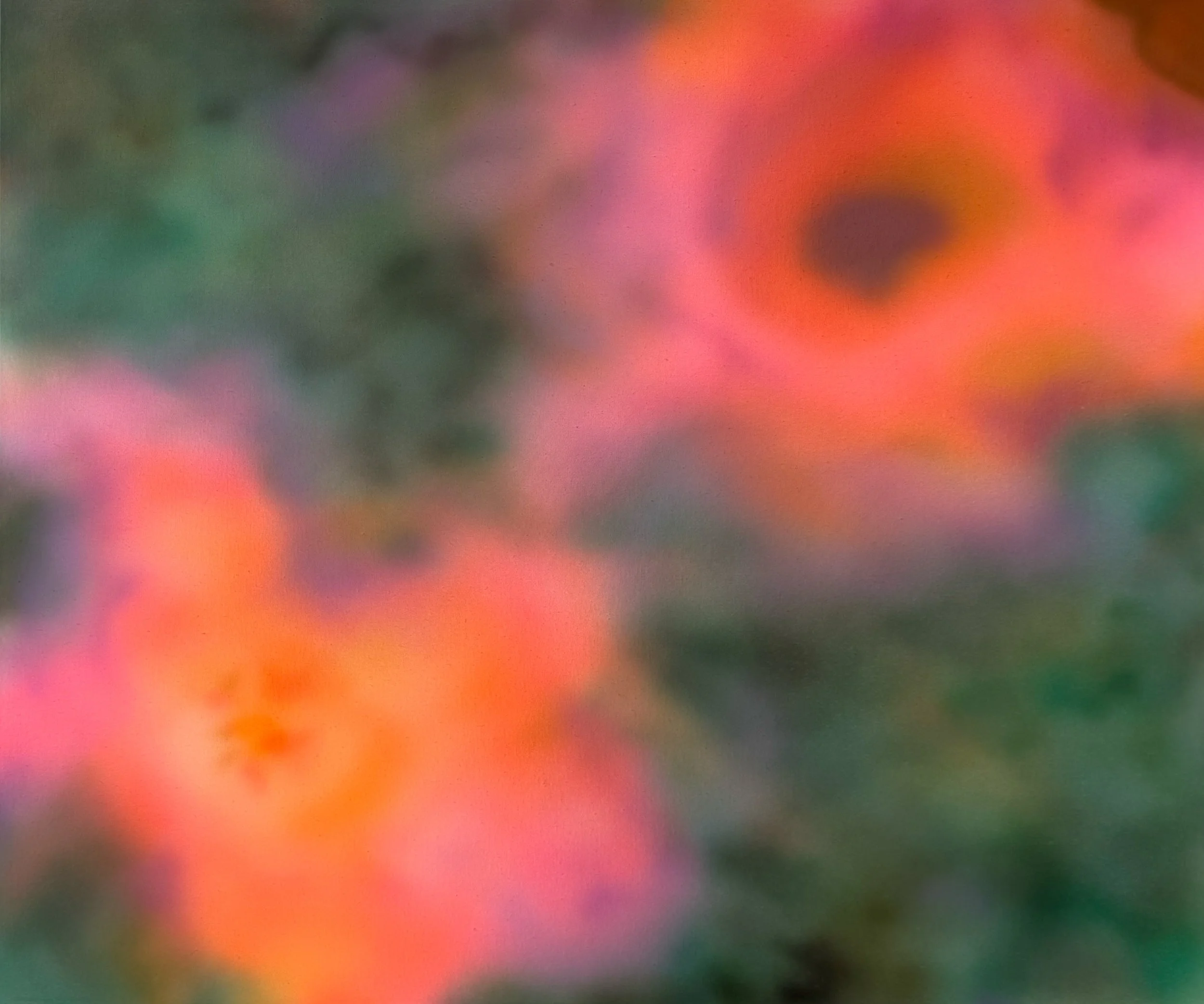 2026 - Petalsoup (creation of adam) 40''x48''.jpg