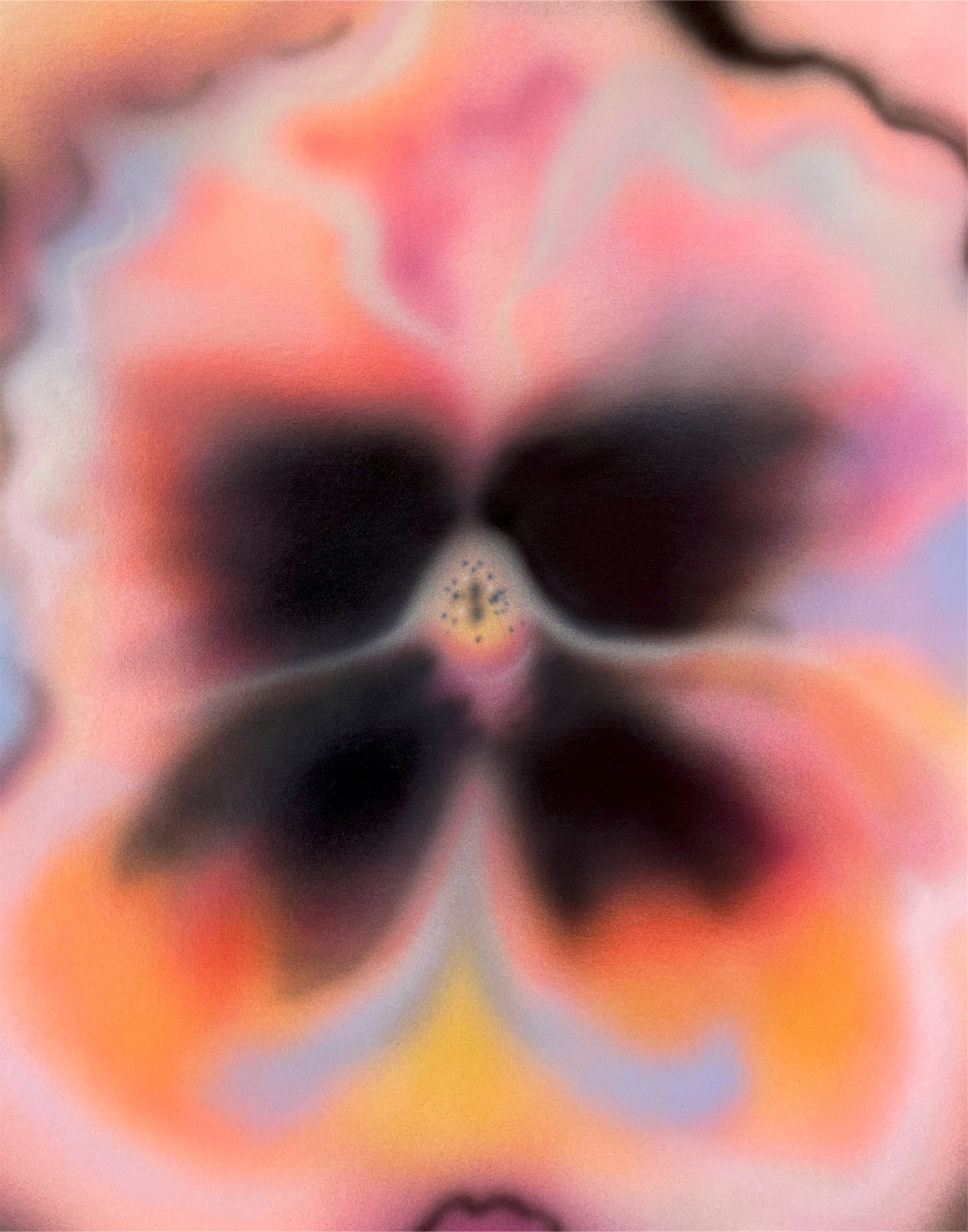 Viola - 11x14_300dpi_mfbae.com.jpg