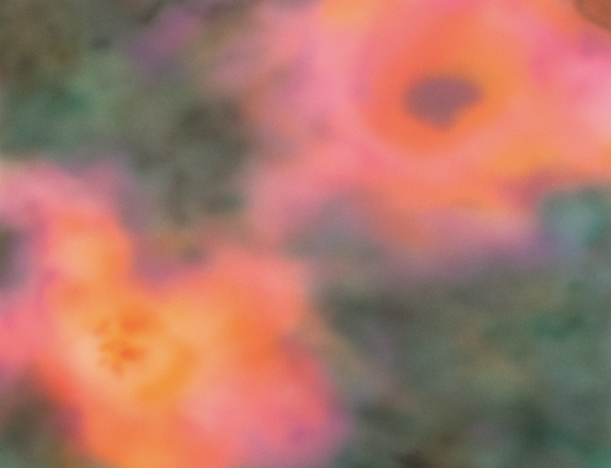 Screenshot 2026-08-23 at 3.06.31 PM.png