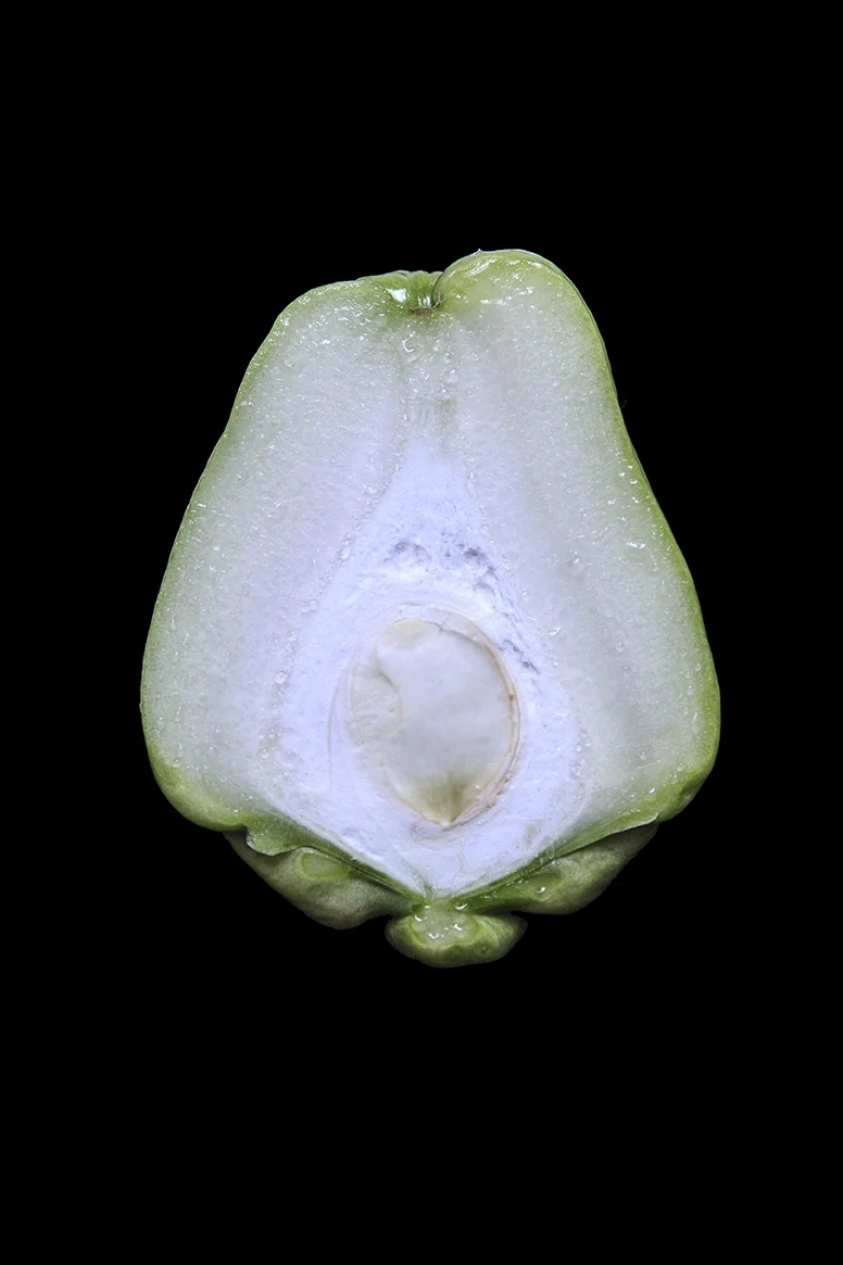 Chayote, Day One