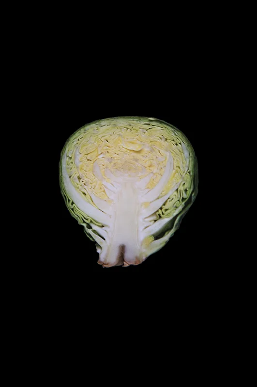 Brussel Sprout, Day One
