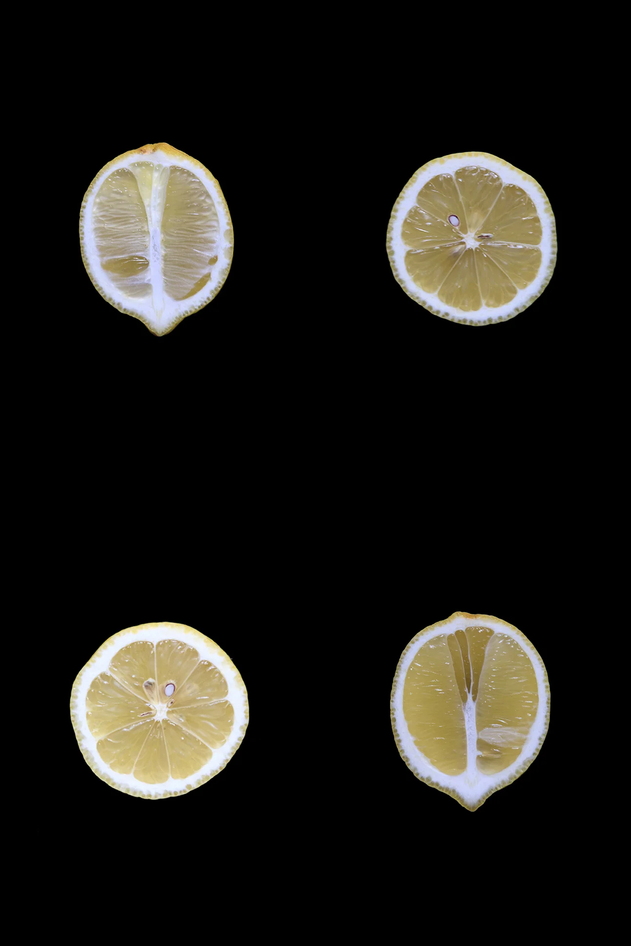 Lemon, Day One