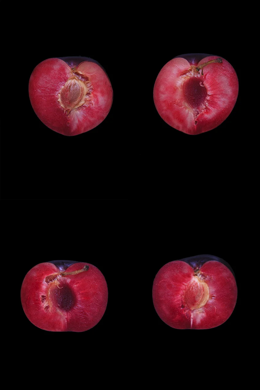 Plum, Day One