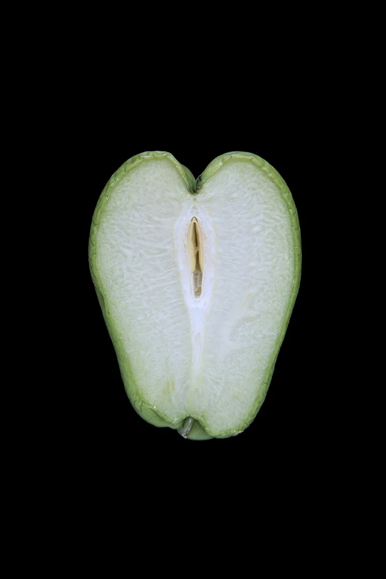 Chayote, Day Two