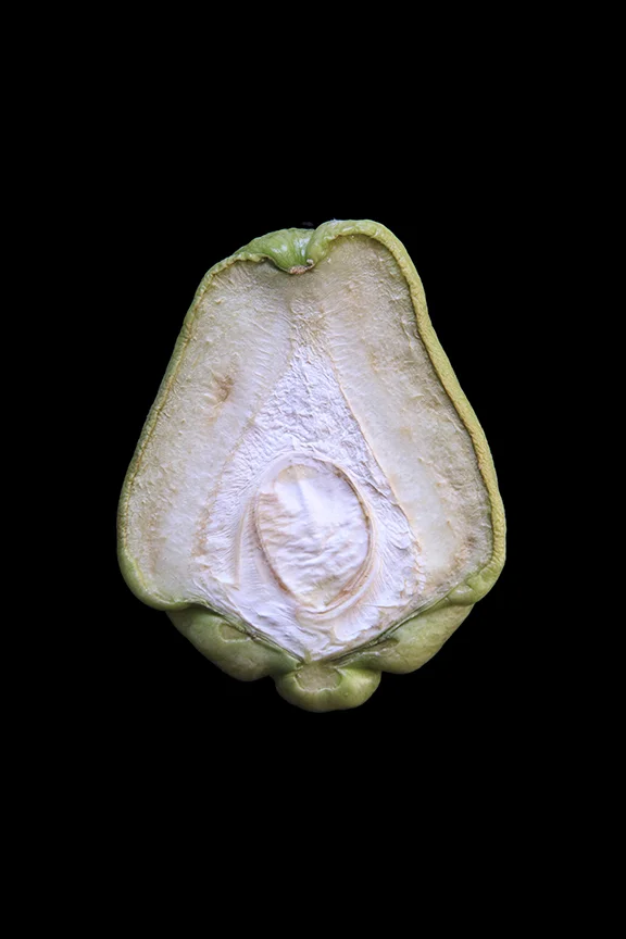 Chayote, Day Three