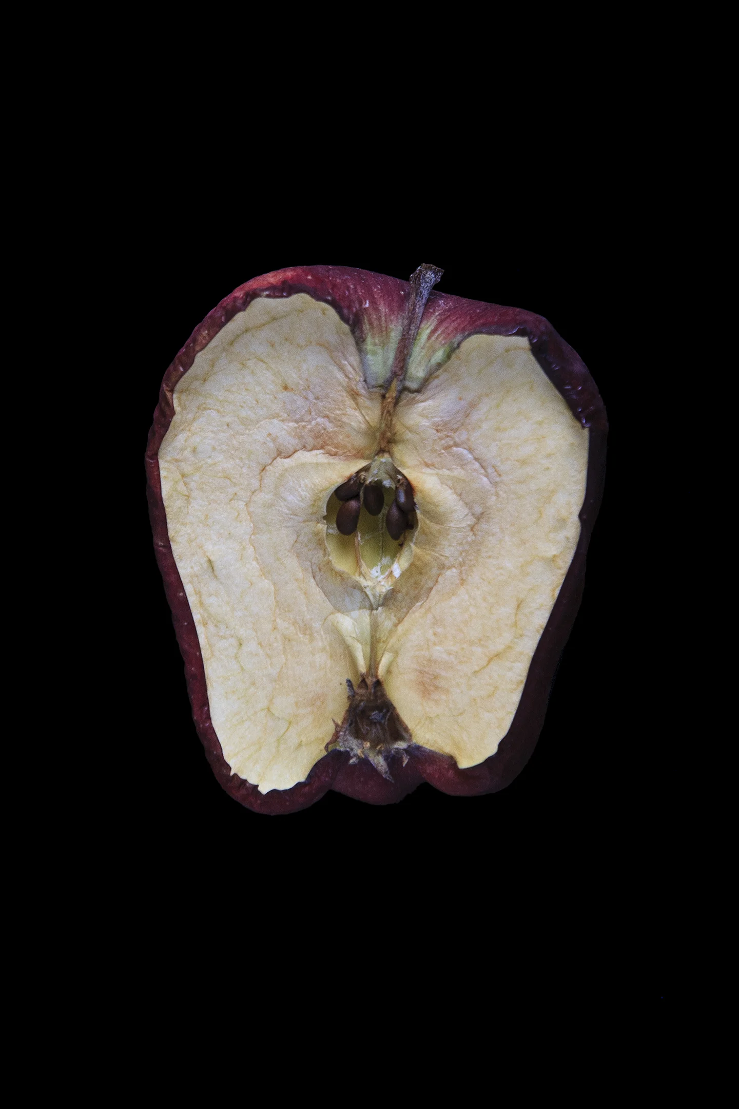 Red Delicious, Day Seven