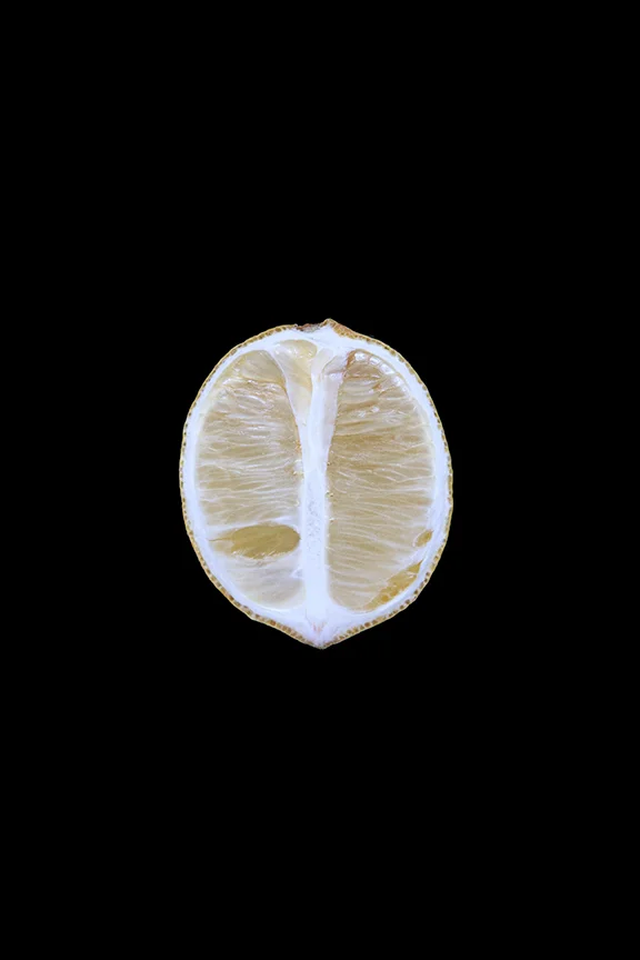 Lemon, Day Eight