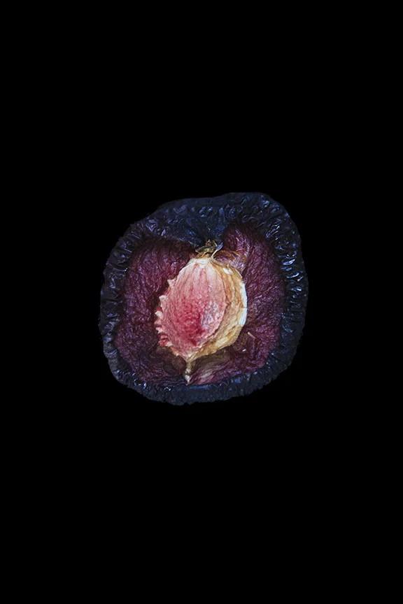 Plum, Day Eight