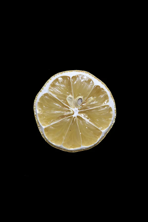 Lemon, Day Nine