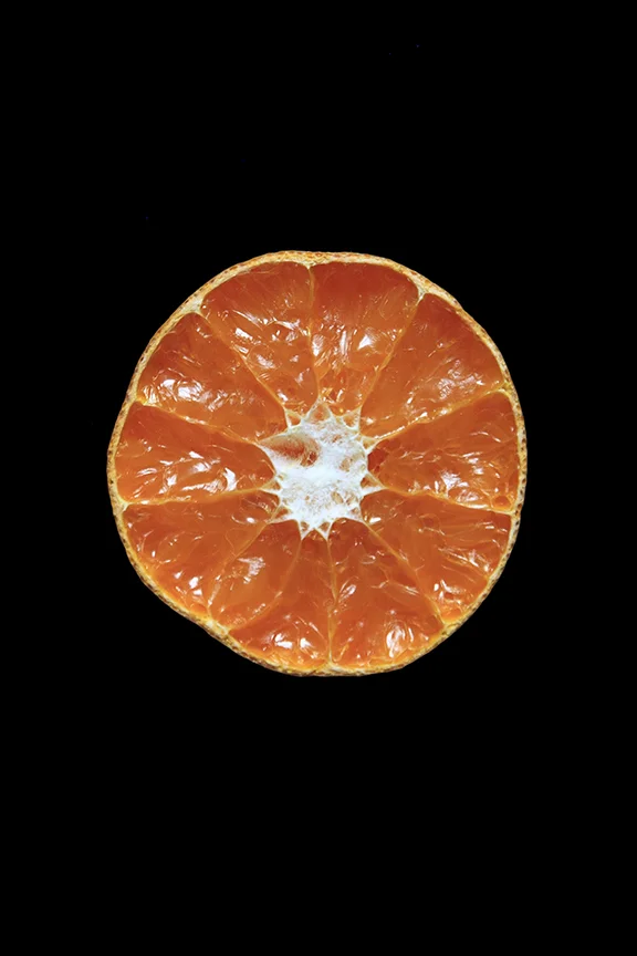 Murcott Mandarin, Day Nine