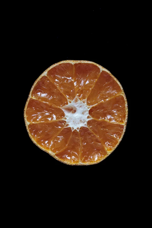 Murcott Mandarin, Day Ten